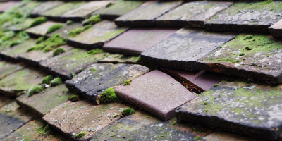 Milton Street roof repair costs